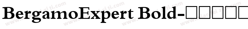 BergamoExpert Bold字体转换